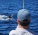 Fishting Marlin off of Los Suenos