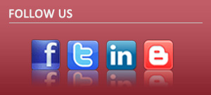 Follow Us - Facebook - Twitter - In - RSS - ThemeGreen