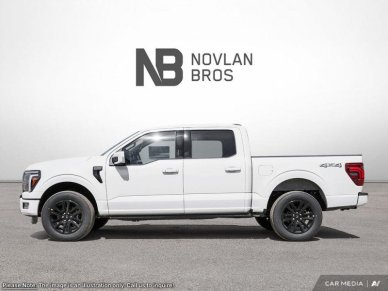 2025 Ford F-150 Platinum - Image 2