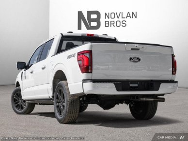 2025 Ford F-150 Platinum - Image 3