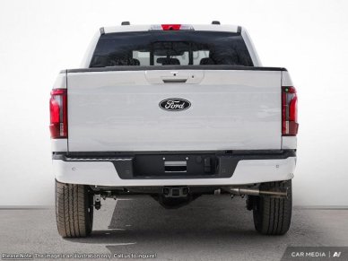 2025 Ford F-150 Platinum - Image 4