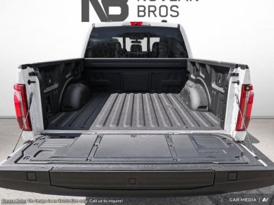 2025 Ford F-150 Platinum - Image 6