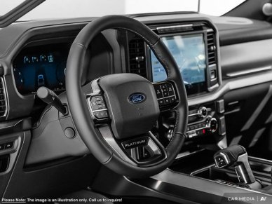 2025 Ford F-150 Platinum - Image 11