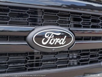 Ford F-150 Lariat  - Tow Package 1FTFW5L85SKD81987 115949