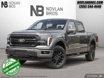 Ford F-150 Lariat  - Sunroof 1FTFW5L80SFA62232 119883