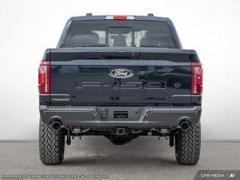Ford F-150 Tremor  - Leather Seats - Sunroof 1FTFW4L53SFB29549 123476