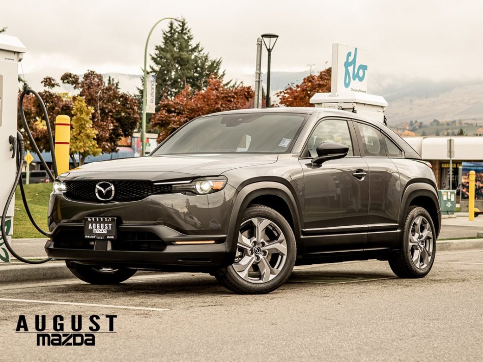 MAZDA MX-30 GS JM1DRACB3N0100241 55794