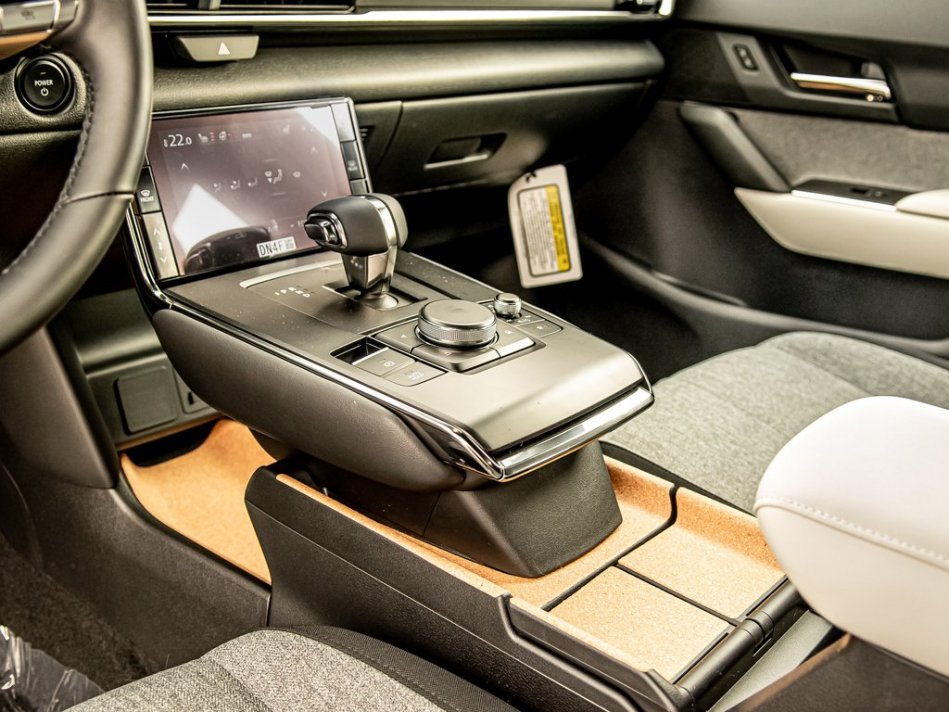 MAZDA MX-30 GS JM1DRACB3N0100241 55811