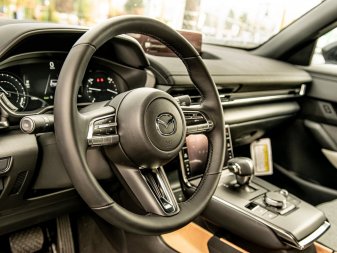 MAZDA MX-30 GS JM1DRACB3N0100241 55808