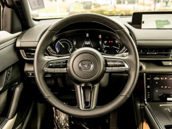 MAZDA MX-30 GS JM1DRACB3N0100241 55812