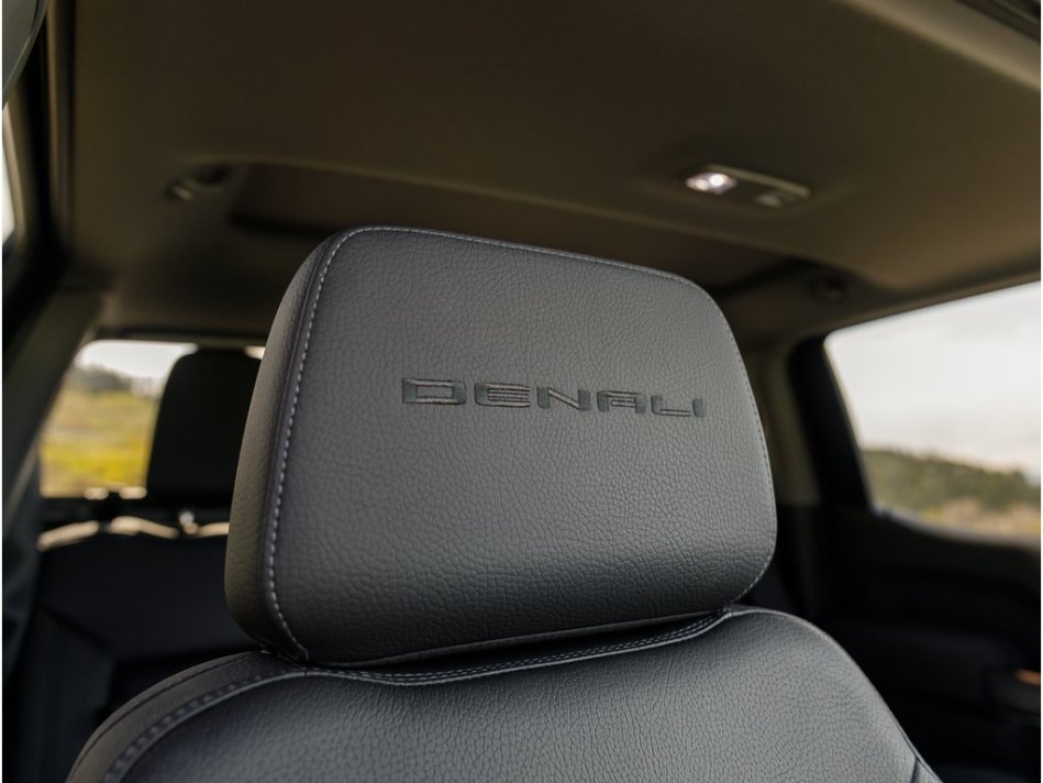 GMC Sierra 1500 DENALI 1GTU9FED7LZ345919 61459