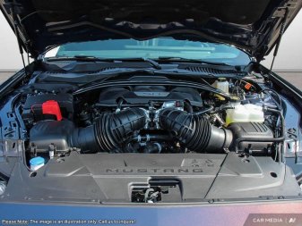 Ford Mustang Dark Horse  - Tech Package 1FA6P8R09S5502007 126155