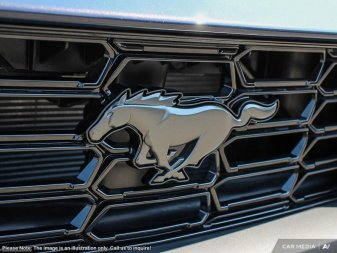 Ford Mustang Dark Horse  - Tech Package 1FA6P8R09S5502007 126158