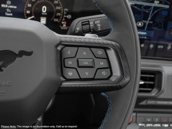 Ford Mustang Dark Horse  - Tech Package 1FA6P8R09S5502007 126164