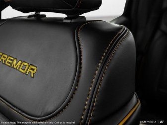 Ford F-150 Tremor  - Leather Seats - Premium Audio 1FTFW4L83SFB41467 124060