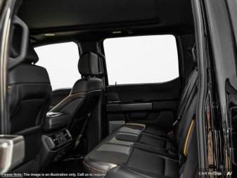 Ford F-150 Tremor  - Leather Seats - Premium Audio 1FTFW4L83SFB41467 124061