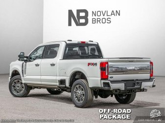 2025 Ford F-350 Super Duty Platinum - Image 3