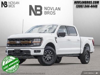 Ford F-150 Tremor  - Tow Package 1FTFW4L87SFB68820 127090