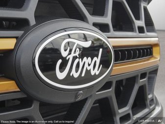 Ford F-150 Tremor  - Tow Package 1FTFW4L87SFB68820 127098