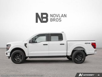 2025 Ford F-150 STX - Image 2