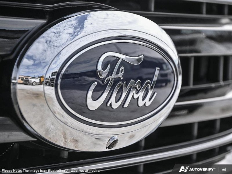 Ford F-350 Super Duty Platinum  - Premium Audio 1FT8W3BM0TED84551 136062