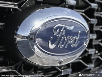 Ford F-450 Super Duty Platinum  - Diesel Engine 1FT8W4DT6TEE12590 137696