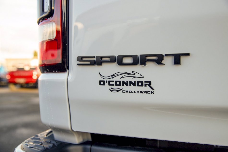 RAM 1500 Sport 1C6SRFVT5NN196328 96496