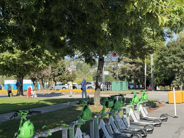 Shared scooters clustered beside a street