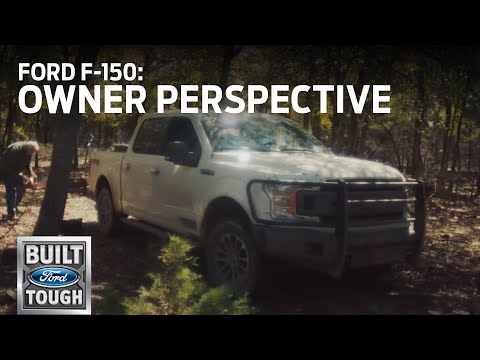2019 Ford F-150 XLT for Sale in Vernon