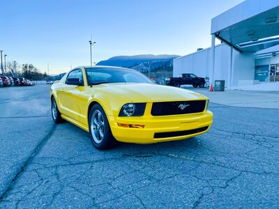used ford mustang for sale bc canada
