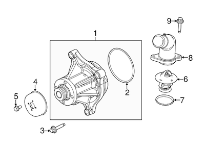 Diagram of a Ford engine water pump pulley system against a white background.