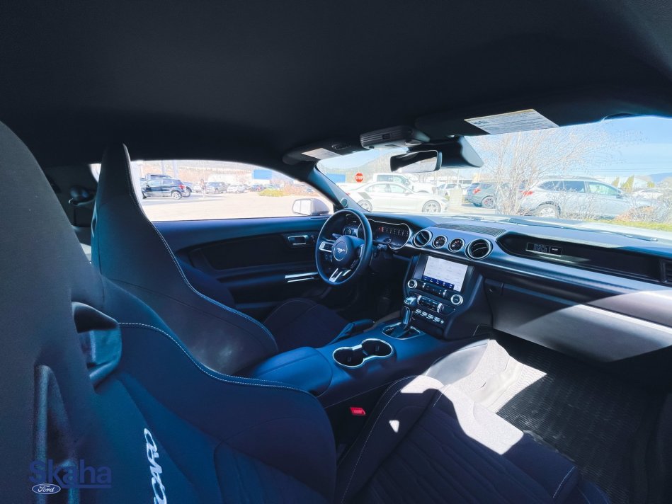 FORD Mustang Mach 1 1FA6P8R00M5553740 21973