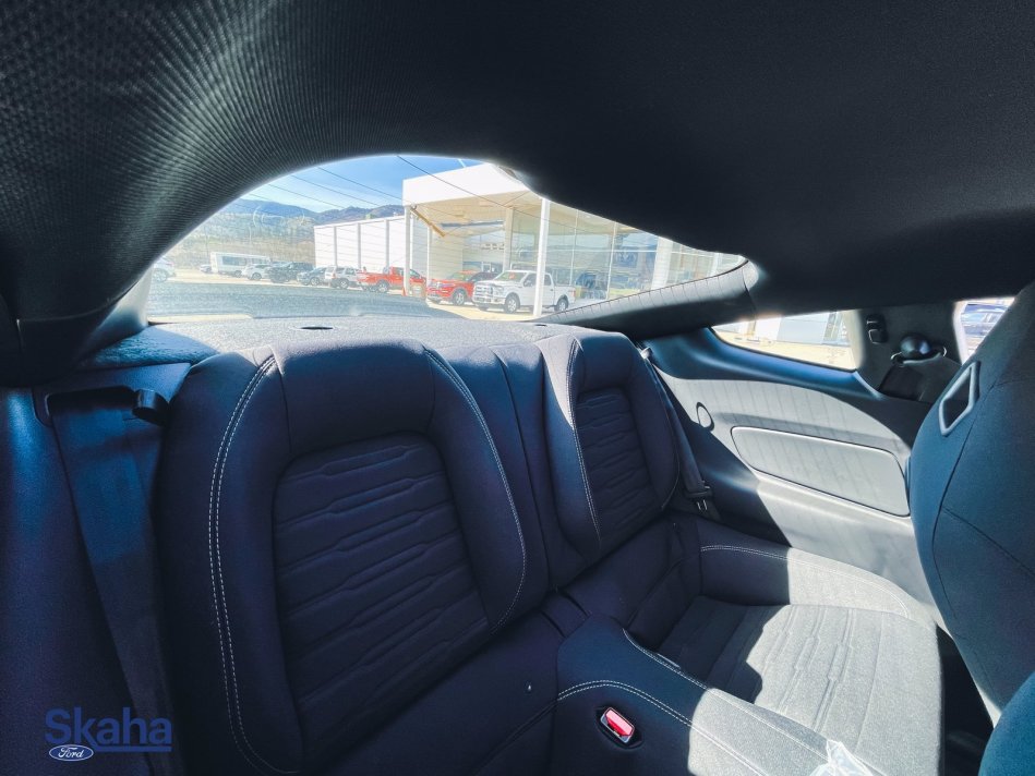 FORD Mustang Mach 1 1FA6P8R00M5553740 21974