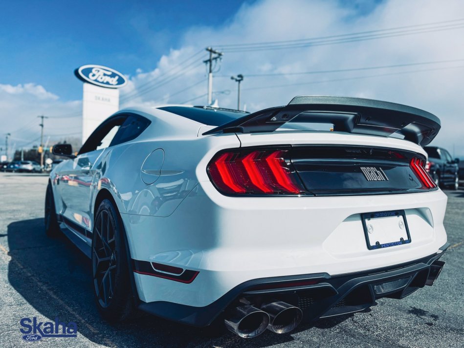 FORD Mustang Mach 1 1FA6P8R00M5553740 21975