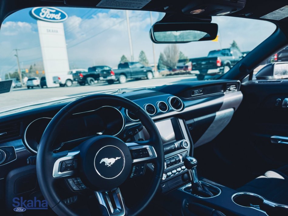 FORD Mustang Mach 1 1FA6P8R00M5553740 21976