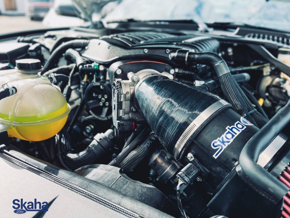 FORD Mustang Mach 1 1FA6P8R00M5553740 21980