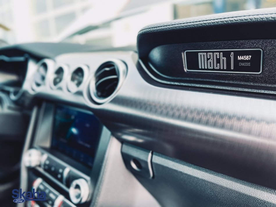 FORD Mustang Mach 1 1FA6P8R00M5553740 21982