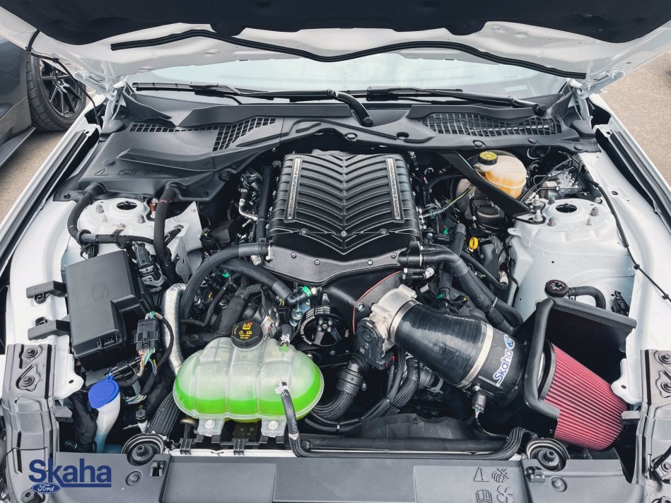 FORD Mustang Mach 1 1FA6P8R00M5553740 21983