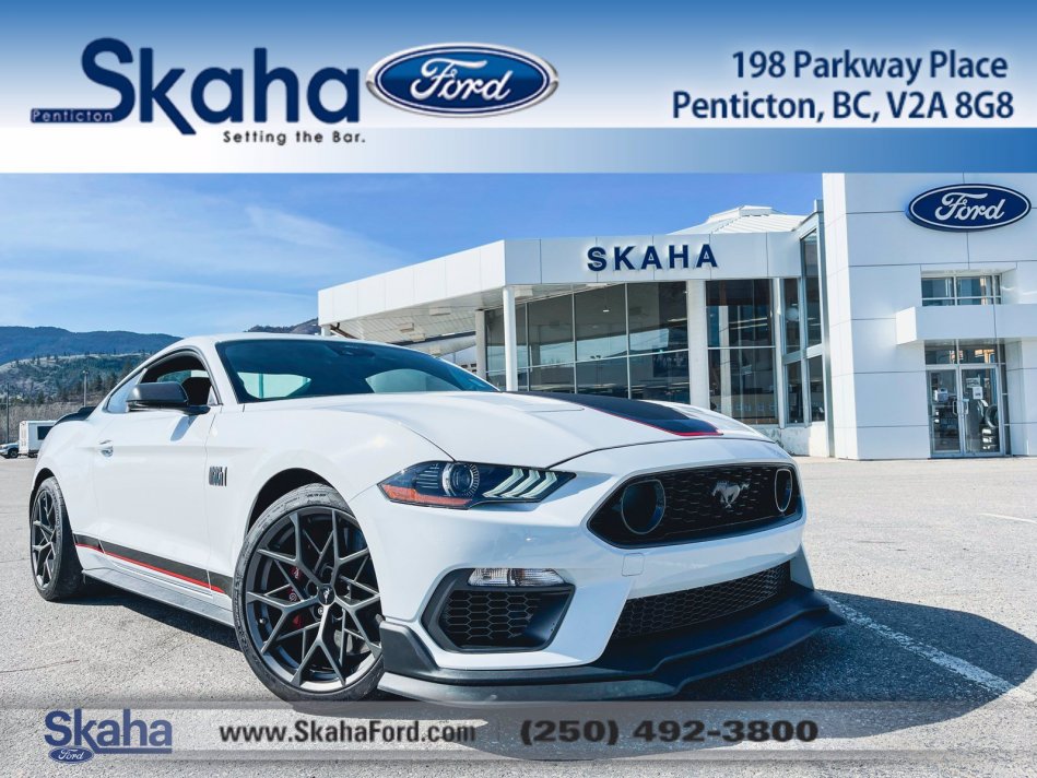 FORD Mustang Mach 1 1FA6P8R00M5553740 21996