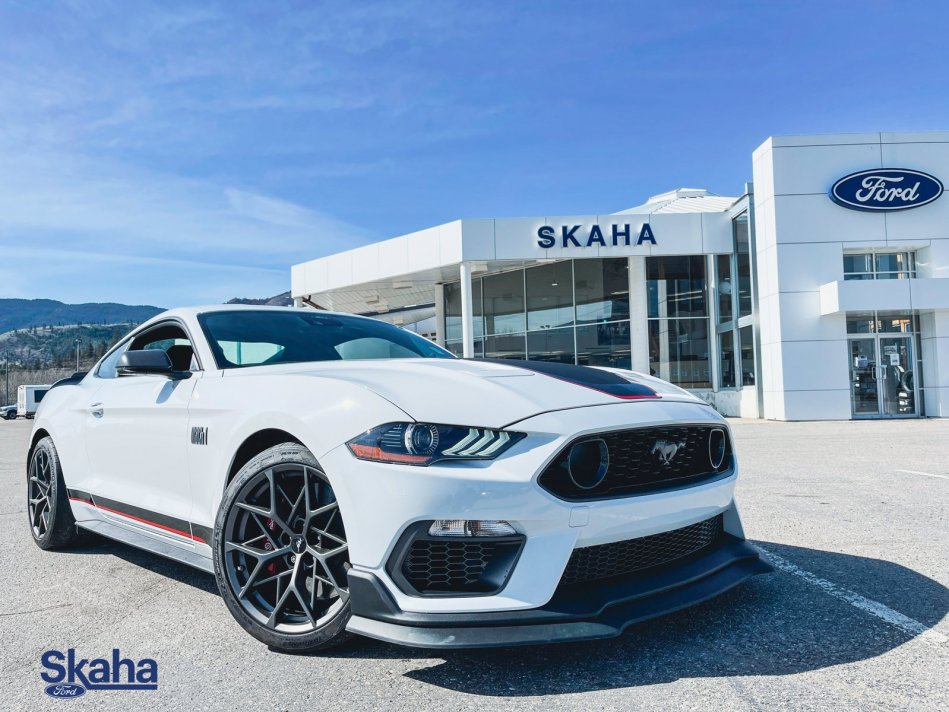 FORD Mustang Mach 1 1FA6P8R00M5553740 22006