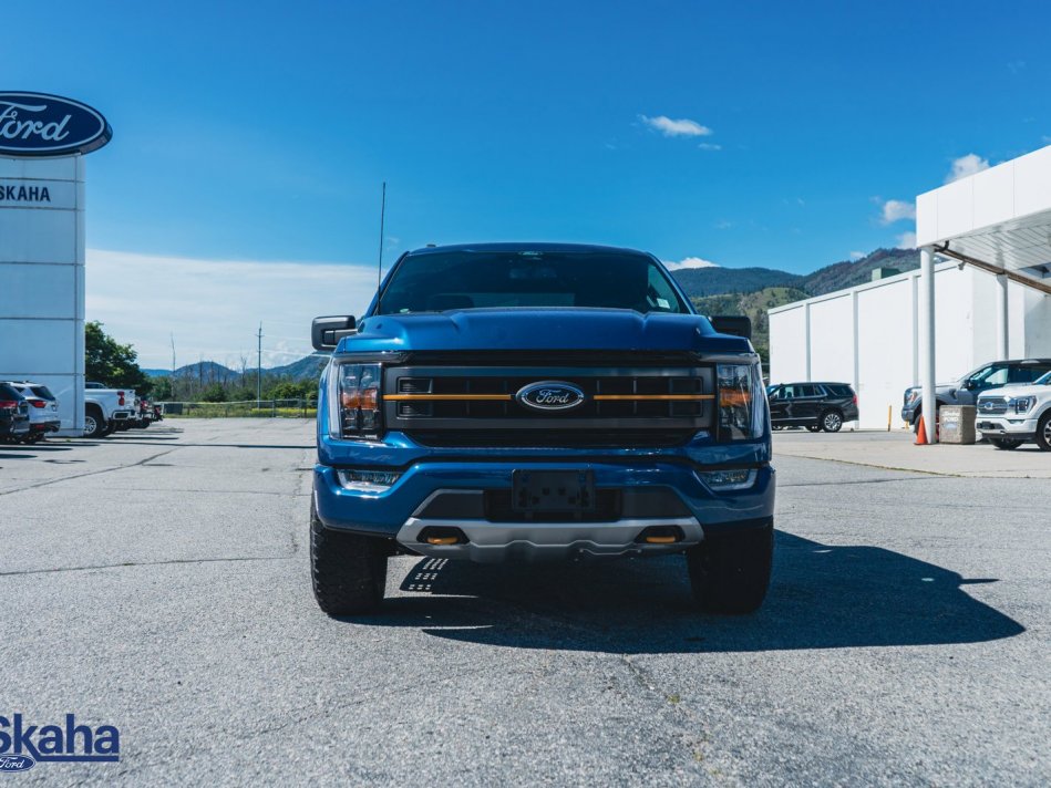 FORD F-150  1FTEW1E87NFB08581 22748