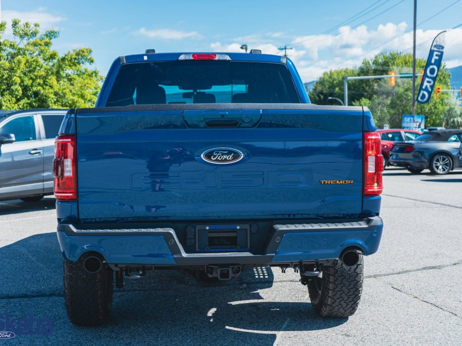 FORD F-150  1FTEW1E87NFB08581 22750