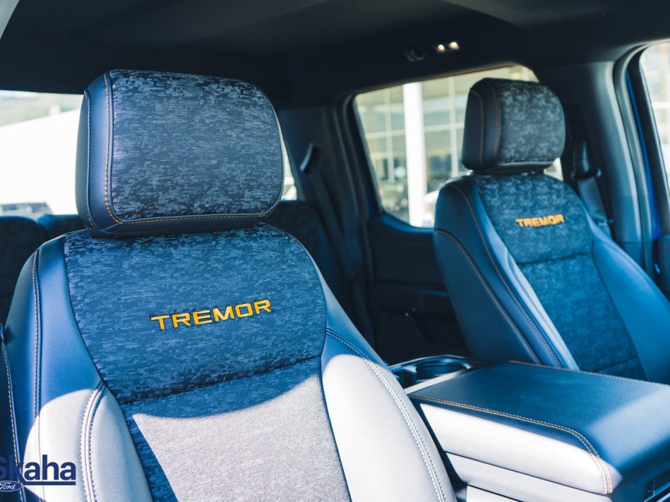 FORD F-150  1FTEW1E87NFB08581 22751