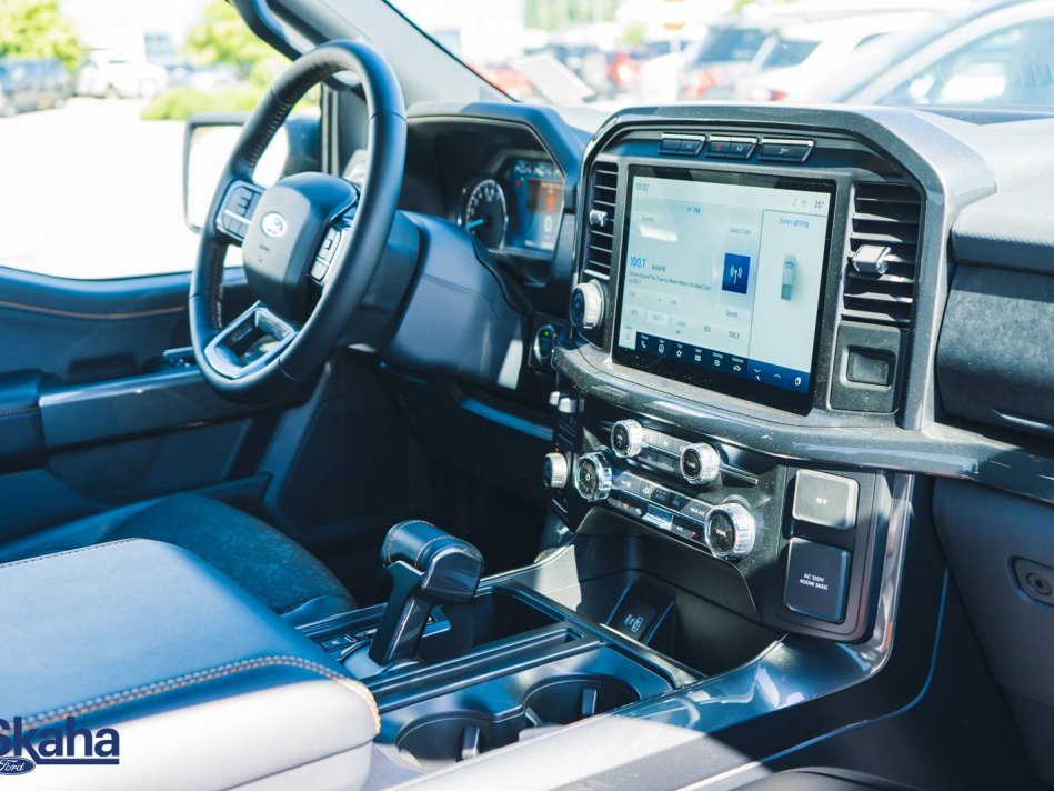 FORD F-150  1FTEW1E87NFB08581 22752