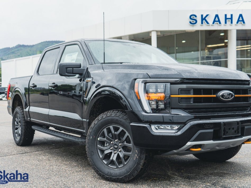 FORD F-150 XLT TREMOR 1FTEW1E84NFB09168 22880