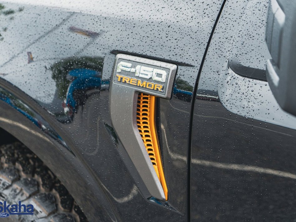 FORD F-150 XLT TREMOR 1FTEW1E84NFB09168 22883