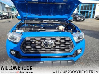 TOYOTA Tacoma TRD Off-Road  - Low Mileage 5TFCZ5AN4LX215046 123068