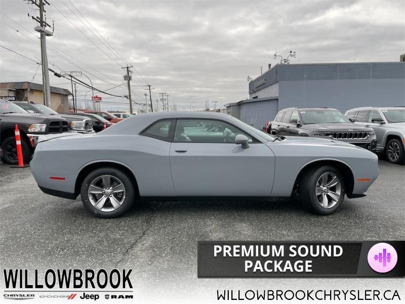 DODGE Challenger SXT 2C3CDZAG9MH670332 141134