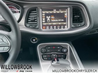 DODGE Challenger SXT 2C3CDZAG9MH670332 141142