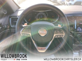 JEEP Grand Cherokee Trailhawk 1C4RJFLT7MC888067 141288